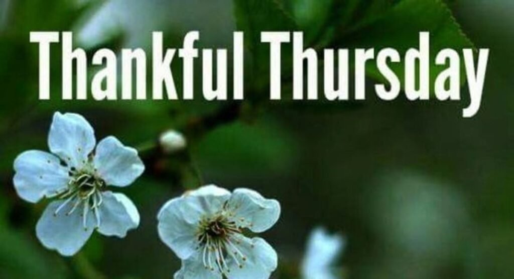 Thankful Thursday Quotes to Encourage a Positive Mindset