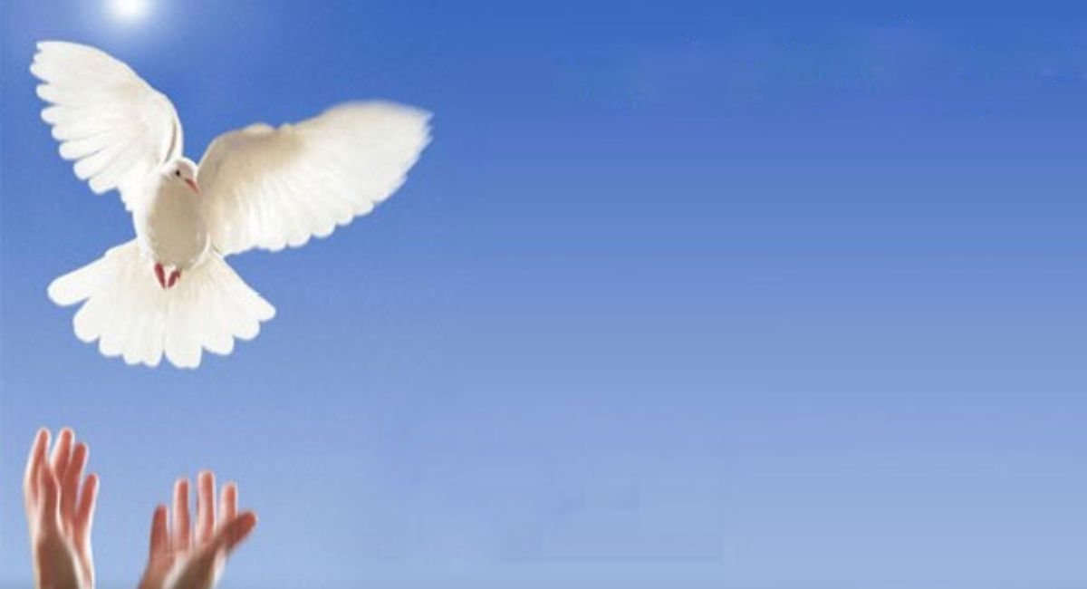 🌟 30 Heartfelt Blessings to Share with Your Family Today 💖